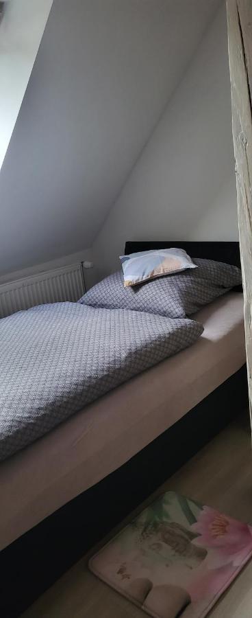 Apartmán DANY Hanušovice Exteriér fotografie
